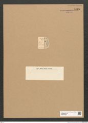 Diatomeae indet. Zeichnungen Sammlung Grunow Nr. 5828 (NHMW-BOT-W0374253)